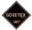 Bota PEGASO TOP Gorex Tex S3+SRC+CI+WR FAL GTX500